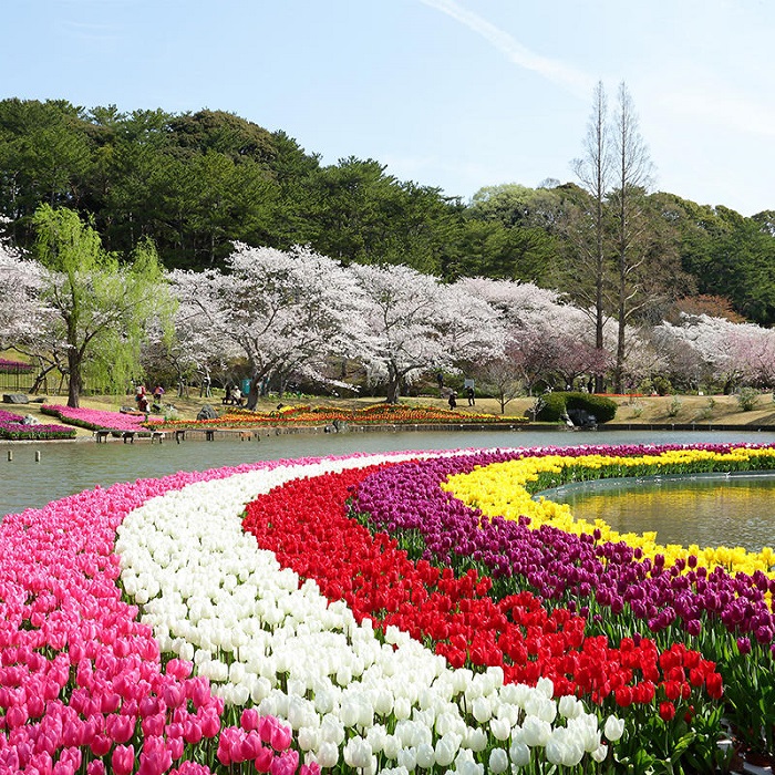 điểm đến mùa xuân điểm đến mùa xuân