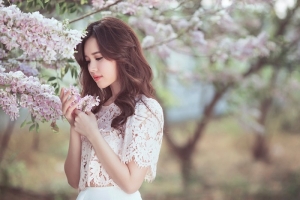 Dạo bước giữa những mùa hoa dịp đầu năm đẹp tựa tranh vẽ