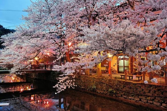 Top 10 địa điểm ngắm hoa anh đào rực rỡ nhất Top 10 địa điểm ngắm hoa anh đào rực rỡ nhất