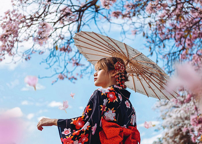 Top 10 địa điểm ngắm hoa anh đào rực rỡ nhất