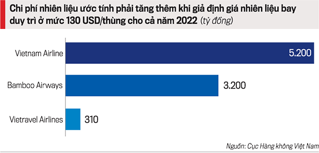 Biến động thất thường, giá xăng dầu làm khó doanh nghiệp vận tải - Ảnh 1