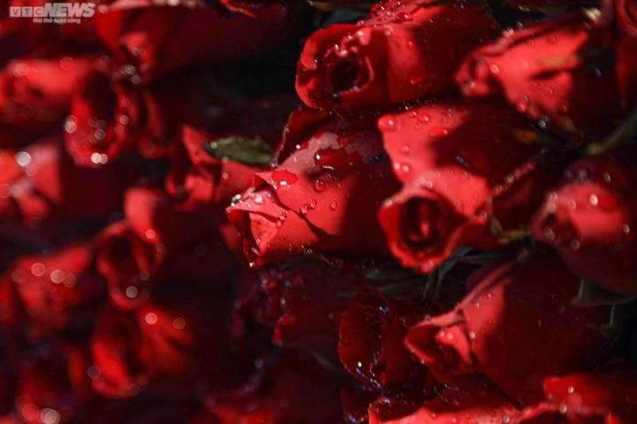 Giá hoa 8/3 tăng Giá hoa 8/3 tăng 'phi mã' - 6