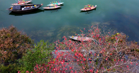 Bất ngờ khi Việt Nam vào danh sách 21 hành trình "thay đổi cuộc đời"