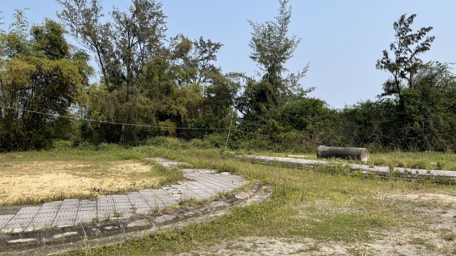 Kỳ 3: Bỏ thì thương, vương thì tội! Kỳ 3: Bỏ thì thương, vương thì tội!