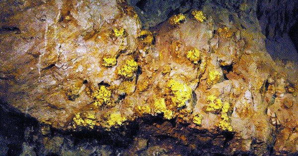 Khu vực nào tập trung nhiều mỏ vàng nhất Việt Nam? Khu vực nào tập trung nhiều mỏ vàng nhất Việt Nam?