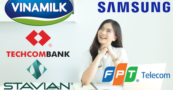 FPT Telecom, Vinamilk và Techcombank lot top nhà tuyển dụng được yêu thích nhất 2022: Nhân viên công ty được hưởng đãi ngộ "khủng" như thế n FPT Telecom, Vinamilk và Techcombank lot top nhà tuyển dụng được yêu thích nhất 2022: Nhân viên công ty được hưởng đãi ngộ "khủng" như thế n