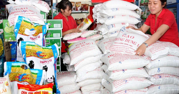 Thương lái mạnh tay gom hàng, giá lúa gạo nội địa có xu hướng tăng Thương lái mạnh tay gom hàng, giá lúa gạo nội địa có xu hướng tăng