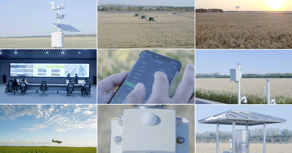 Bí quyết thành công của nông nghiệp Trung Quốc: “Khắc nhập - khắc xuất” đất đai Bí quyết thành công của nông nghiệp Trung Quốc: “Khắc nhập - khắc xuất” đất đai