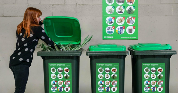 Bới rác mỗi ngày kiếm hơn 100 triệu đồng/tháng, tôi phải thốt lên: Biết thế làm việc này sớm hơn! Bới rác mỗi ngày kiếm hơn 100 triệu đồng/tháng, tôi phải thốt lên: Biết thế làm việc này sớm hơn!