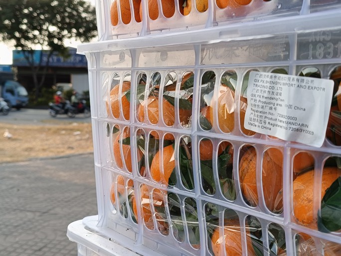 Những loại trái cây Trung Quốc được ưa chuộng tại Việt Nam - Ảnh 3. Những loại trái cây Trung Quốc được ưa chuộng tại Việt Nam - Ảnh 3.