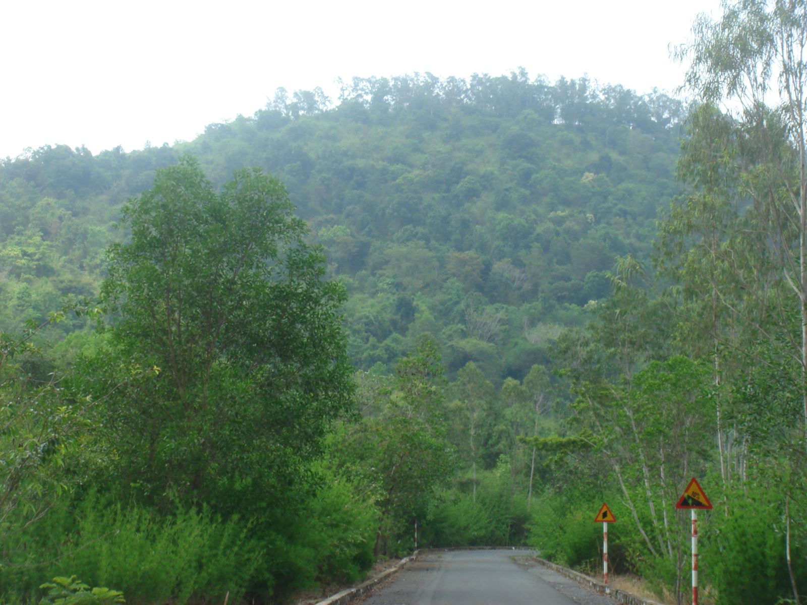 Bài 8: Bình Dương cho thuê 535,85ha rừng với giá chỉ hơn 3 triệu/năm Bài 8: Bình Dương cho thuê 535,85ha rừng với giá chỉ hơn 3 triệu/năm