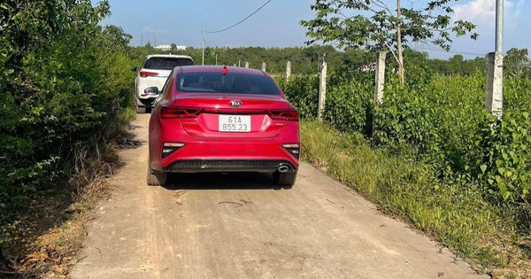 Nhà đầu tư ôm đất vườn tỉnh: “Được nửa giá, tôi cũng bán…”