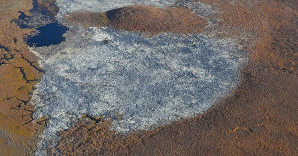 “Kho báu” khổng lồ không ai giữ, đến lúc sắp hỏng lại khiến các chuyên gia đau đầu “Kho báu” khổng lồ không ai giữ, đến lúc sắp hỏng lại khiến các chuyên gia đau đầu