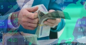 Cảng Đình Vũ (DVP) chi 200 tỷ trả cổ tức tỷ lệ 50% bằng tiền mặt