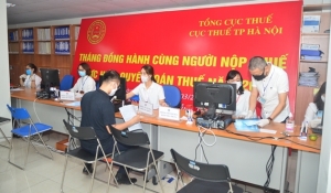 Công ty TNHH MTV Nga Phong kê khai, nộp một số khoản thuế không đảm bảo quy định