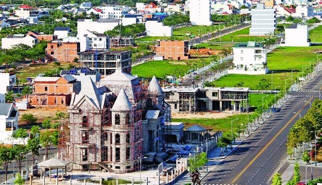 Người 'vạch lá tìm sâu' Người 'vạch lá tìm sâu' ảnh 1