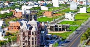 Người 'vạch lá tìm sâu'