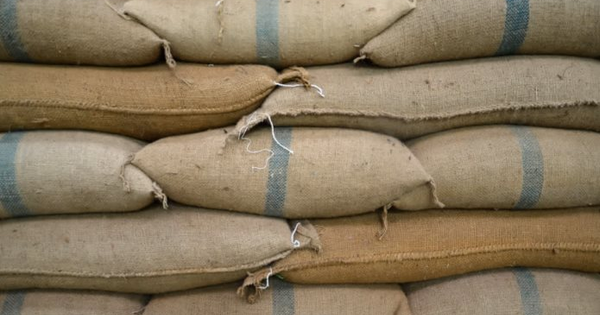 Một quốc gia châu Mỹ tăng nhập khẩu “hạt vàng” của Việt Nam hơn 4.000% trong 5 tháng đầu năm, gấp hơn 23 lần so với cả năm 2022 cộng lại Một quốc gia châu Mỹ tăng nhập khẩu “hạt vàng” của Việt Nam hơn 4.000% trong 5 tháng đầu năm, gấp hơn 23 lần so với cả năm 2022 cộng lại