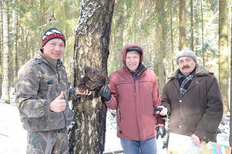 ChagaBetics Gold: Chìa khóa giảm đường huyết và biến chứng tiểu đường