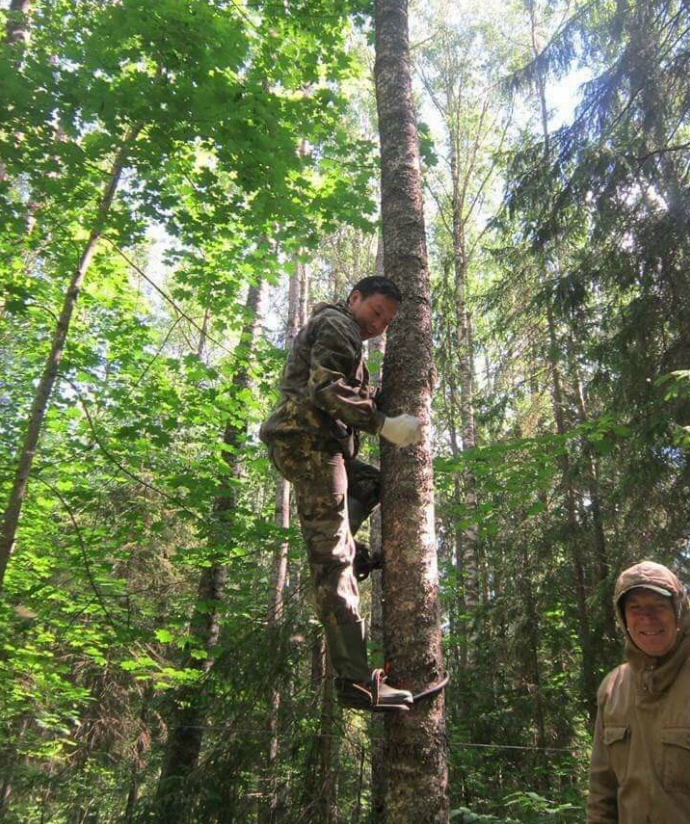 ChagaBetics Gold: Chìa khóa giảm đường huyết và biến chứng tiểu đường