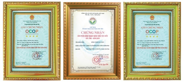 Đông Trùng Hạ Thảo Thiên Phú: Quà tặng Sức khỏe cho mọi nhà