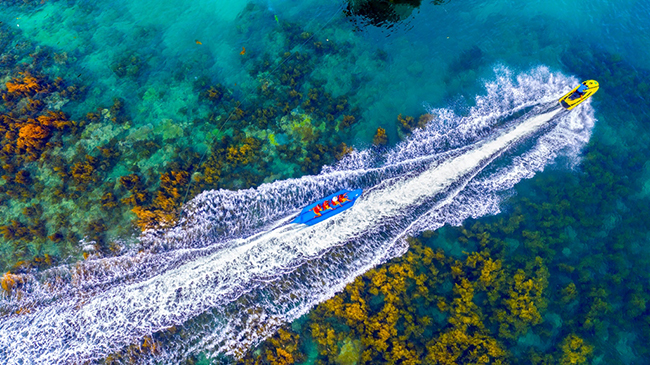 Bình Định - Nét vẽ mới trên bản đồ du lịch biển