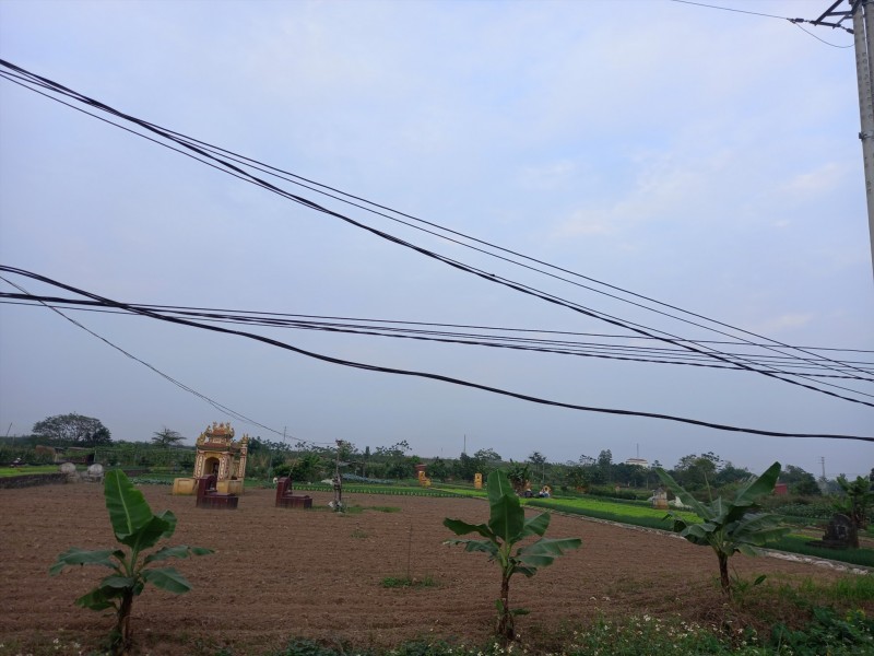 Hộp thư bạn đọc ngày 3/1: Dấu hiệu sai phạm tại Công ty Gạch Tuynel Phương Ngân, thực phẩm chức năng Stole Naga Hộp thư bạn đọc ngày 3/1: Dấu hiệu sai phạm tại Công ty Gạch Tuynel Phương Ngân, thực phẩm chức năng Stole Naga