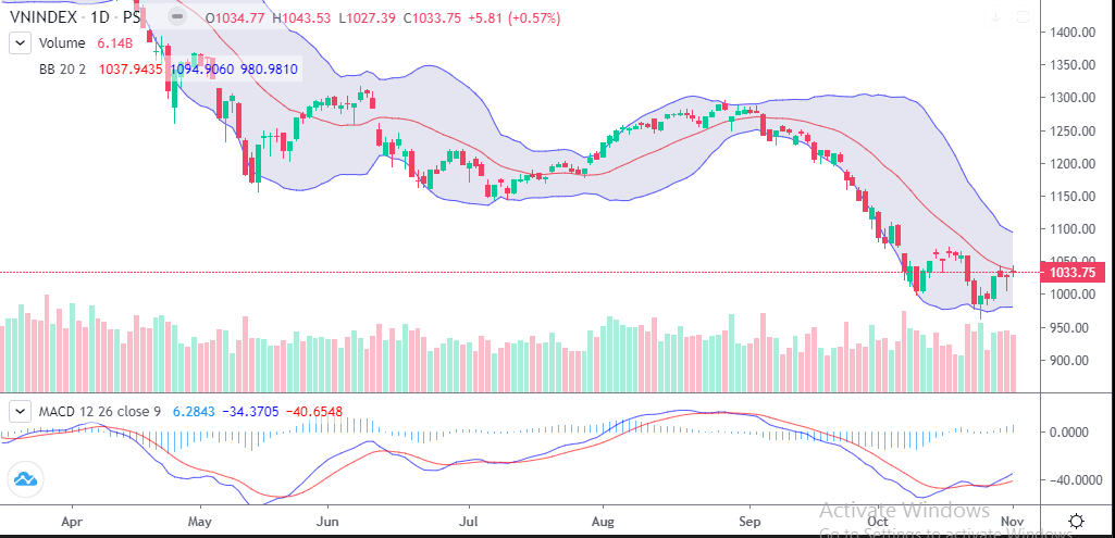 Chứng khoán hôm nay (1/11): VN-Index tăng phiên thứ 2 dù