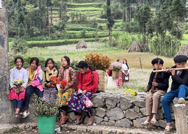 Tam giác mạch hút khách đến Hà Giang Tam giác mạch hút khách đến Hà Giang ảnh 1