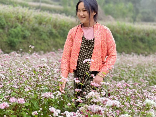 Tam giác mạch hút khách đến Hà Giang Tam giác mạch hút khách đến Hà Giang ảnh 2