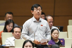 Đại biểu Quốc hội chất vấn việc chậm xử lý vụ bà Nguyễn Phương Hằng livestream