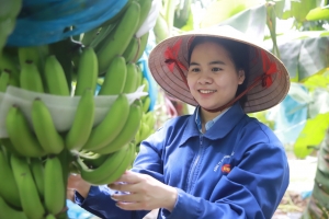 Xuất khẩu trái cây sang Trung Quốc, quên hình thức buôn chuyến đi!