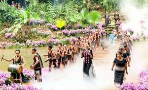 "Hẹn nhau giữa đại ngàn Tây Nguyên"