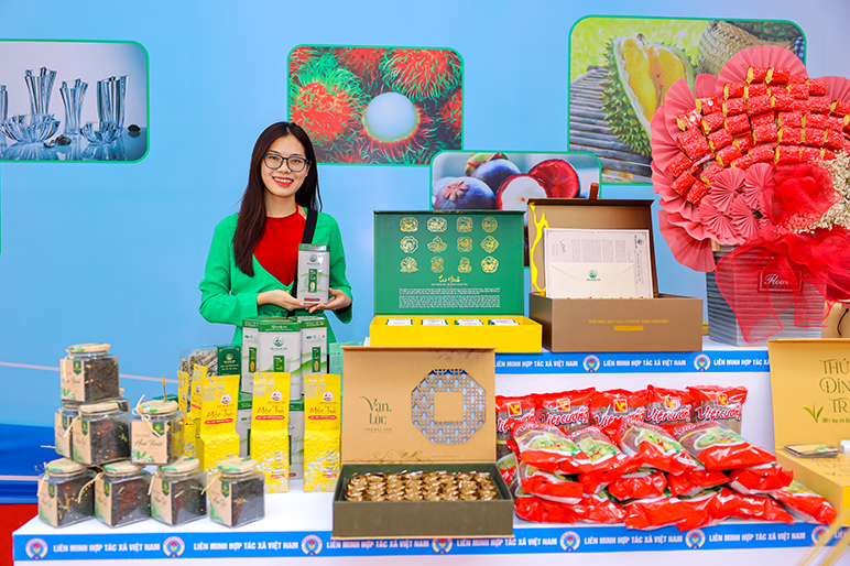 Đẩy mạnh tuy&ecirc;n truyền những m&ocirc; h&igrave;nh hợp t&aacute;c x&atilde; th&agrave;nh c&ocirc;ng - ảnh 6