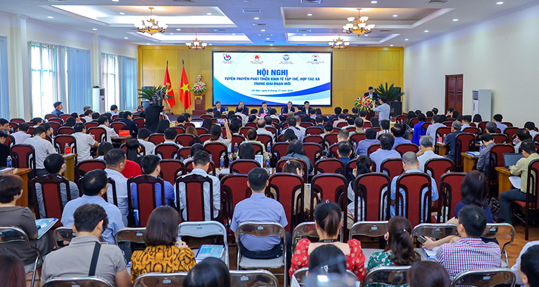 Đẩy mạnh tuy&ecirc;n truyền những m&ocirc; h&igrave;nh hợp t&aacute;c x&atilde; th&agrave;nh c&ocirc;ng - ảnh 1