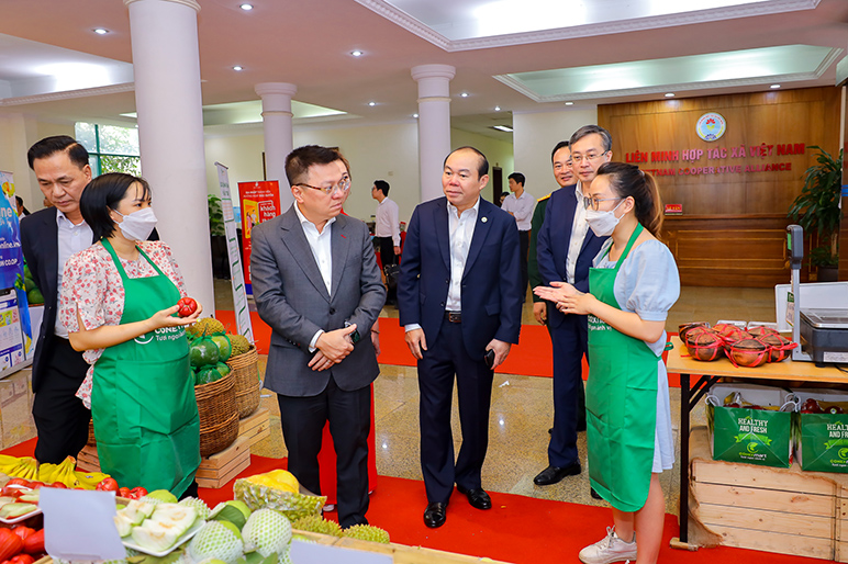 Đẩy mạnh tuy&ecirc;n truyền những m&ocirc; h&igrave;nh hợp t&aacute;c x&atilde; th&agrave;nh c&ocirc;ng - ảnh 3