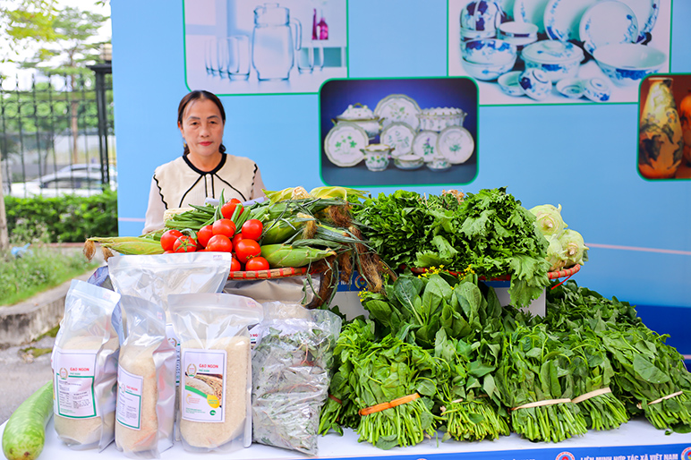 Đẩy mạnh tuy&ecirc;n truyền những m&ocirc; h&igrave;nh hợp t&aacute;c x&atilde; th&agrave;nh c&ocirc;ng - ảnh 5