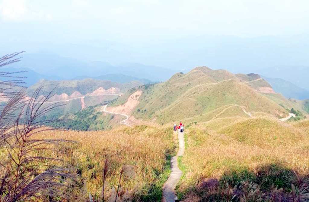 Khám phá "thiên đường cỏ lau"