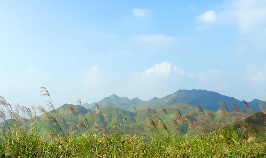 Khám phá "thiên đường cỏ lau"