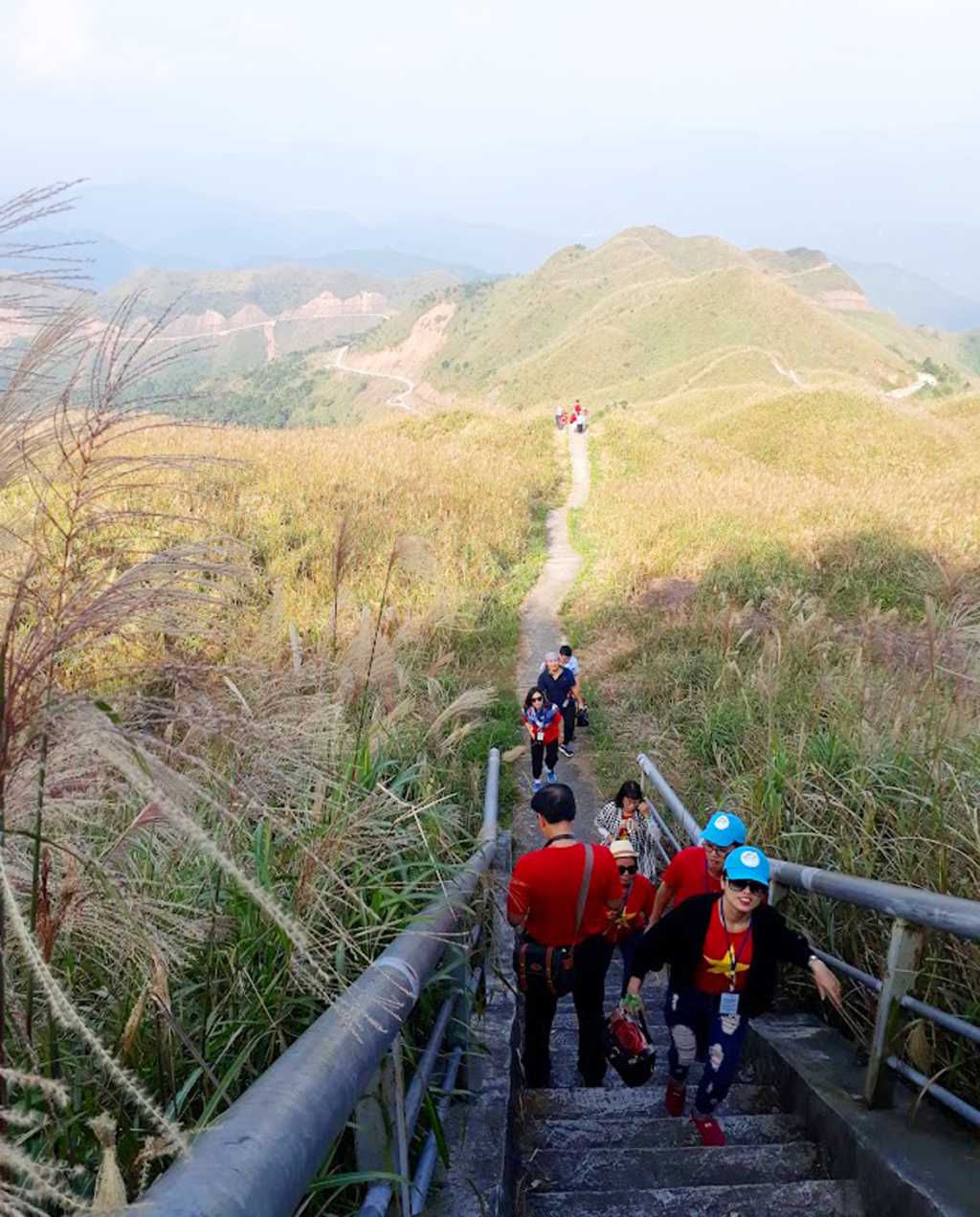 Khám phá "thiên đường cỏ lau"