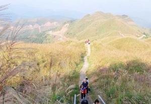 Khám phá "thiên đường cỏ lau" ở Bình Liêu
