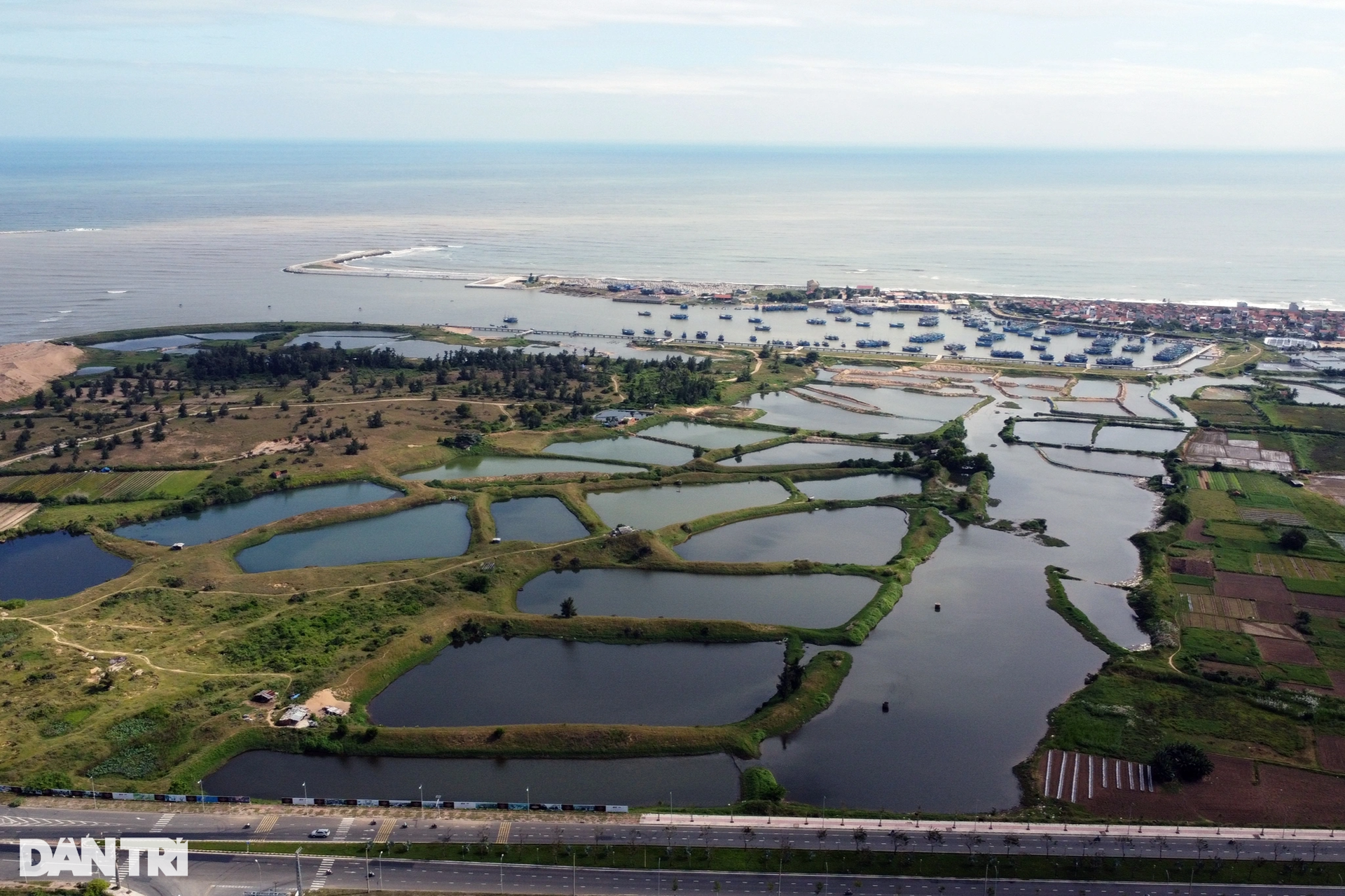 Cận cảnh khu đất được giới thiệu có dự án nghìn tỷ đồng thành...nơi chăn bò - 2 Cận cảnh khu đất được giới thiệu có dự án nghìn tỷ đồng thành...nơi chăn bò - 2
