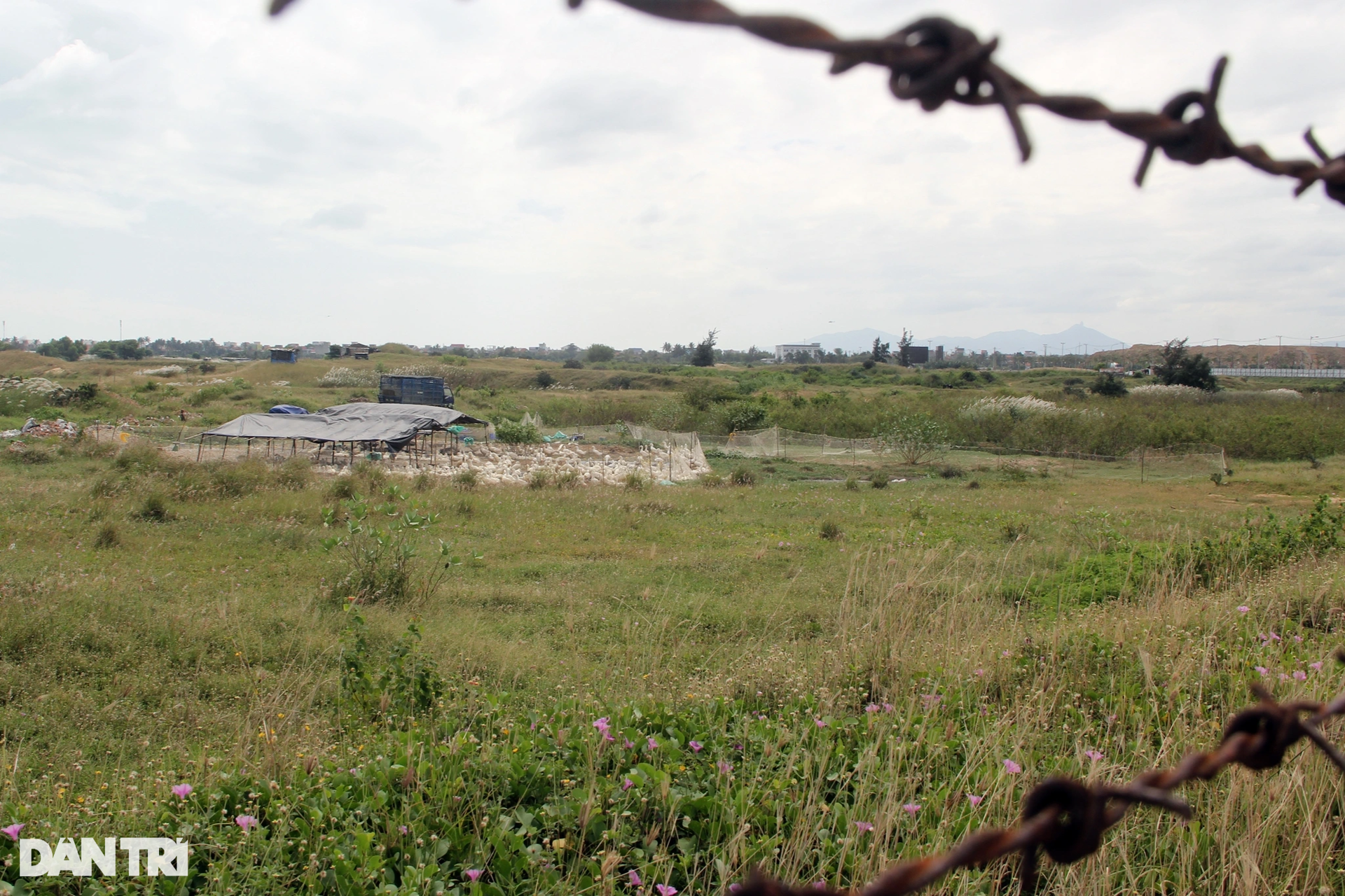 Cận cảnh khu đất được giới thiệu có dự án nghìn tỷ đồng thành...nơi chăn bò - 5 Cận cảnh khu đất được giới thiệu có dự án nghìn tỷ đồng thành...nơi chăn bò - 5