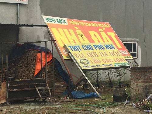 Mải m&ecirc; &ocirc;m đất mong ăn quả đậm, ''m&ocirc;i giới n&ocirc;ng d&acirc;n'' lỗ nặng - ảnh 3