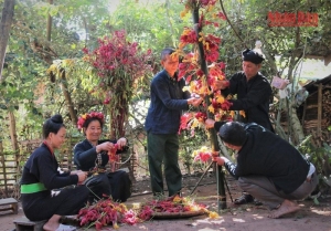 Độc đáo Tết hoa mào gà của người Cống bản Lả Chà (Điện Biên)