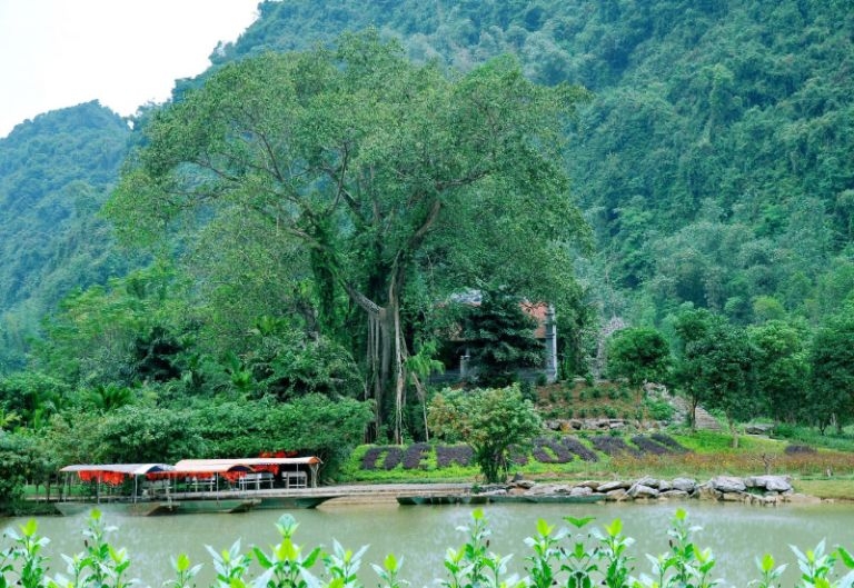 Vẻ đẹp hoang sơ độc đáo của Thung Nham