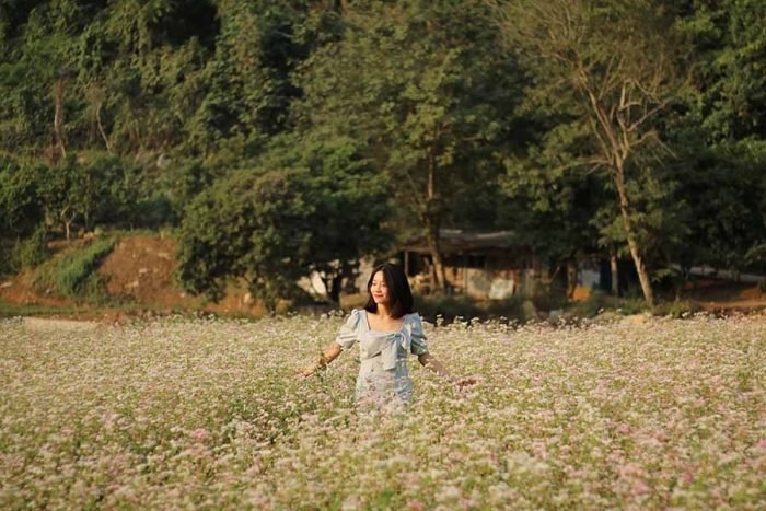 Vẻ đẹp hoang sơ độc đáo của Thung Nham