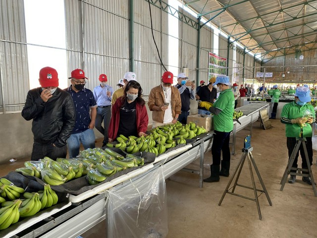 Bầu Đức mời cổ đ&ocirc;ng nắm giữ hơn 500.000 cổ phiếu HAG tham quan c&aacute;c dự &aacute;n của HAGL tại Việt Nam, L&agrave;o, Campuchia - ảnh 2