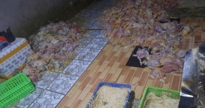 Kinh hoàng, thu mua gà thối để bán cho xưởng giò chả, chà bông
