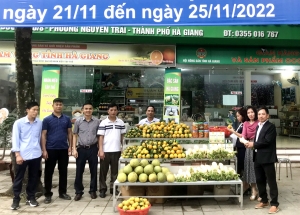 Hà Giang: Đẩy mạnh quảng bá, giới thiệu nông sản an toàn